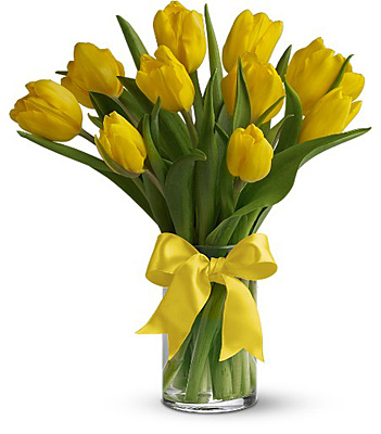 Sunny Yellow Tulips from Richardson's Flowers in Medford, NJ